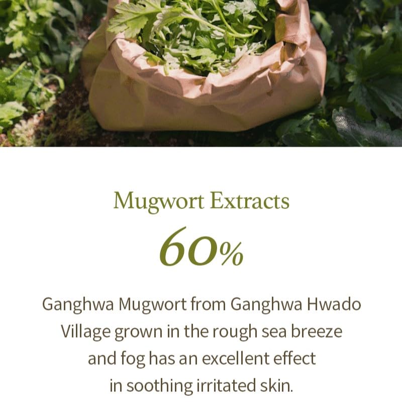 I'm From - Mugwort Gel Cleanser